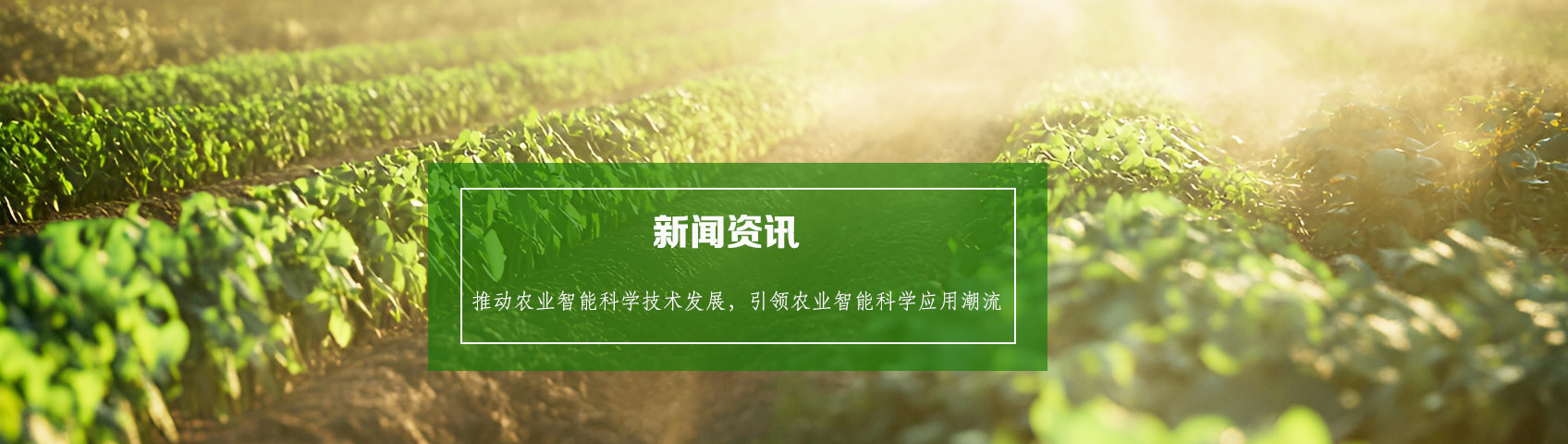 新闻资讯