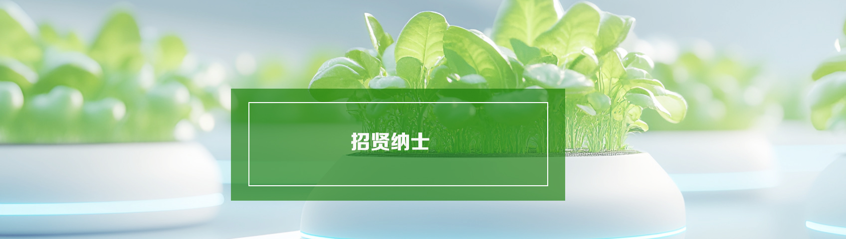 招贤纳士