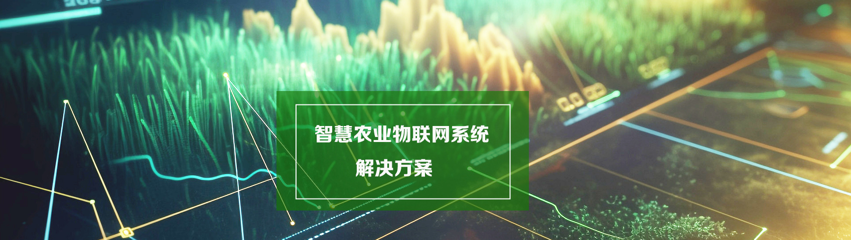 解决方案