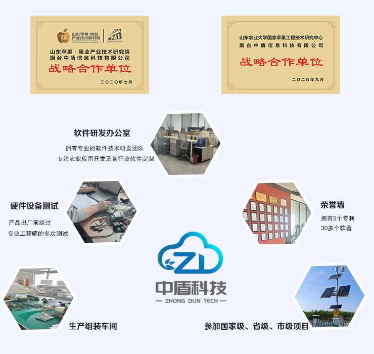 公司简介