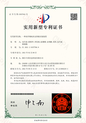 1741583314116203.jpg