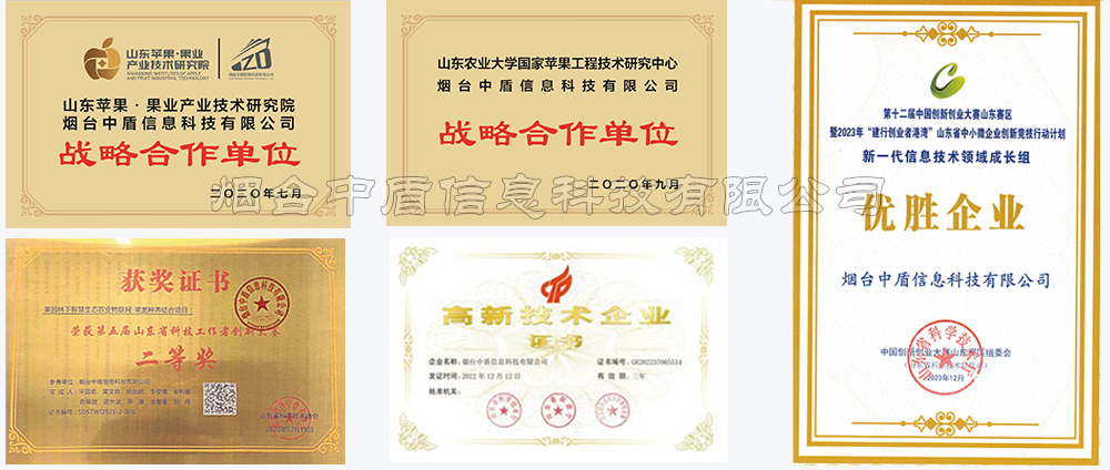 公司荣誉.jpg