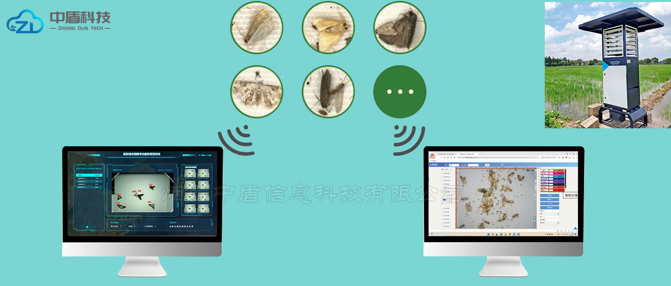 智能虫情测报灯