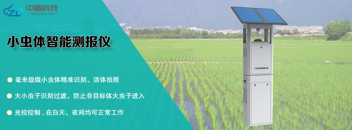 小虫体智能测报仪