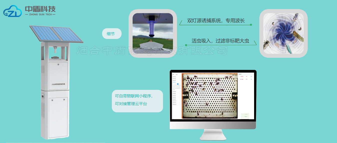 小虫体智能测报仪细节