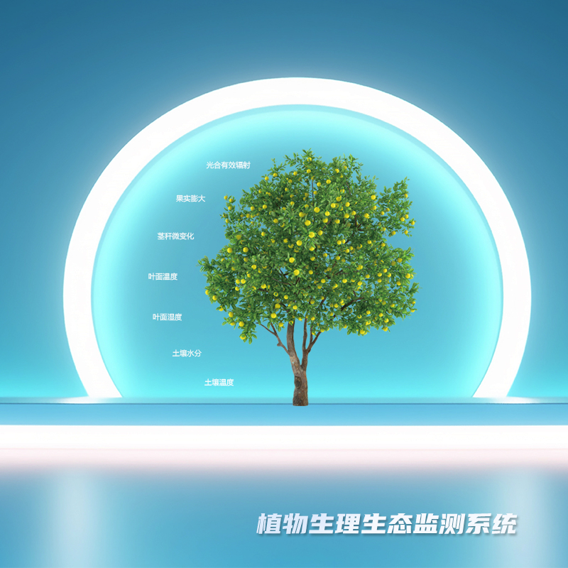 植物生理生态监测系统