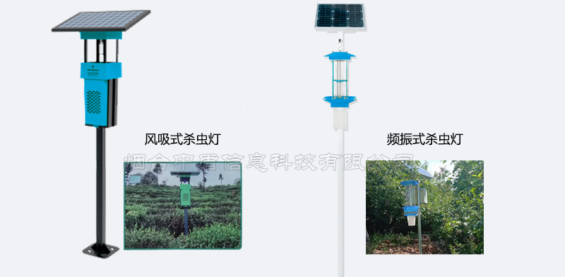 风吸式杀虫灯与频振式杀虫灯区别.jpg