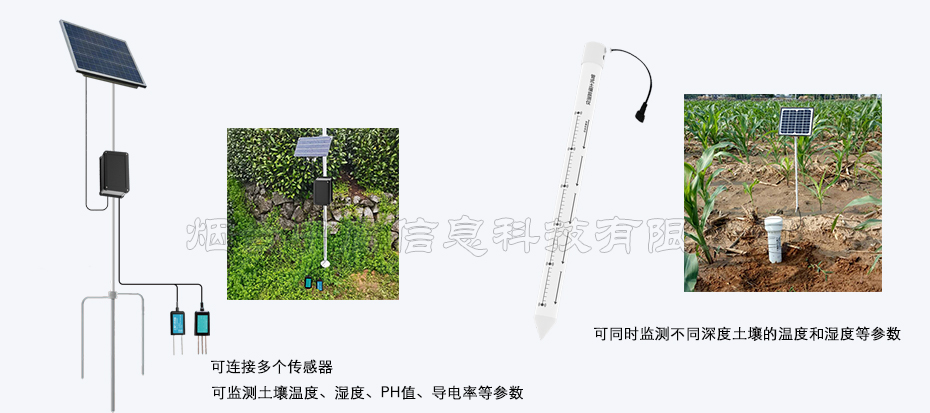 农作物单产提升解决方案