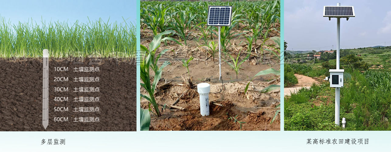 导管式土壤监测仪案例