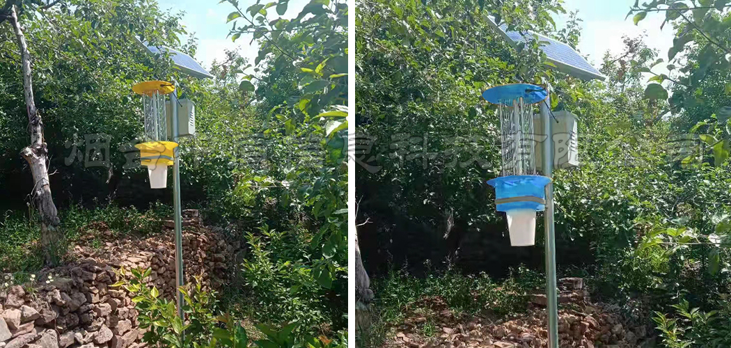 太阳能杀虫灯案例