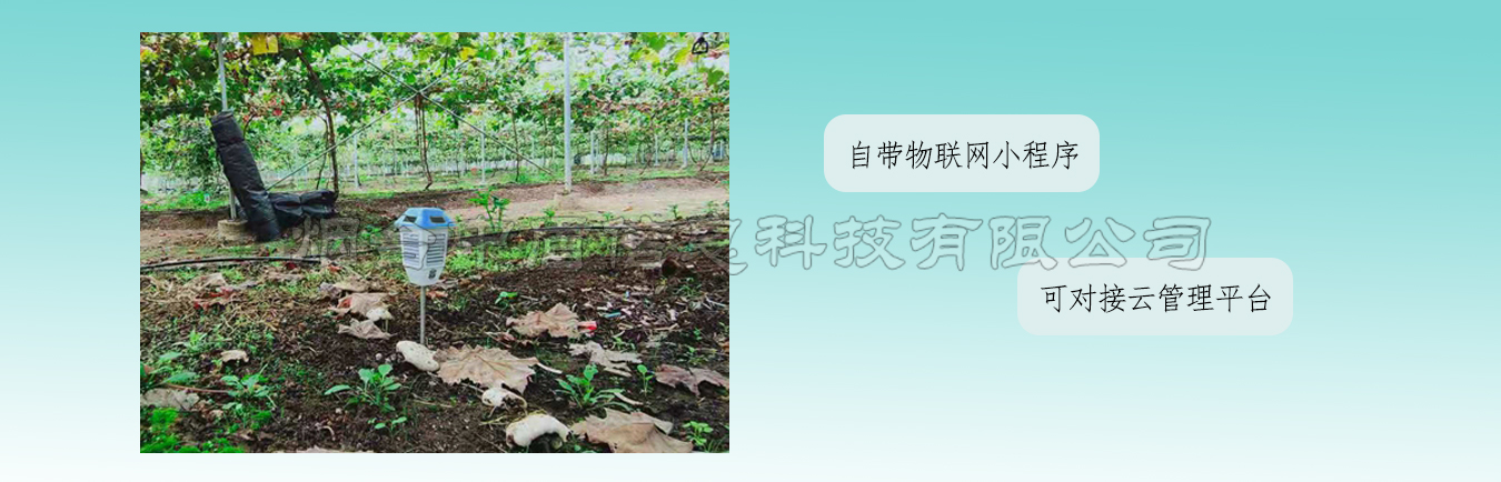 温室环境监测仪应用