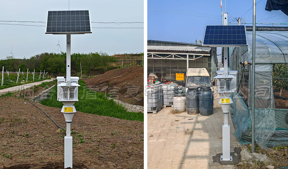 智慧性诱测报系统案例